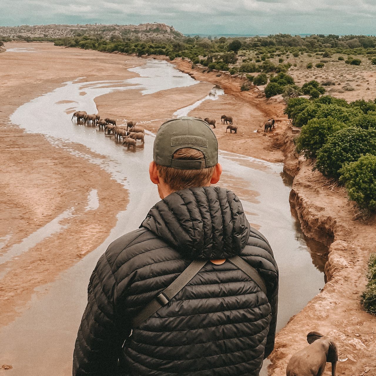 erfahrungsberichte-rangerkurs-field-guide-level-1-afrika-ben-elefanten-natucate
