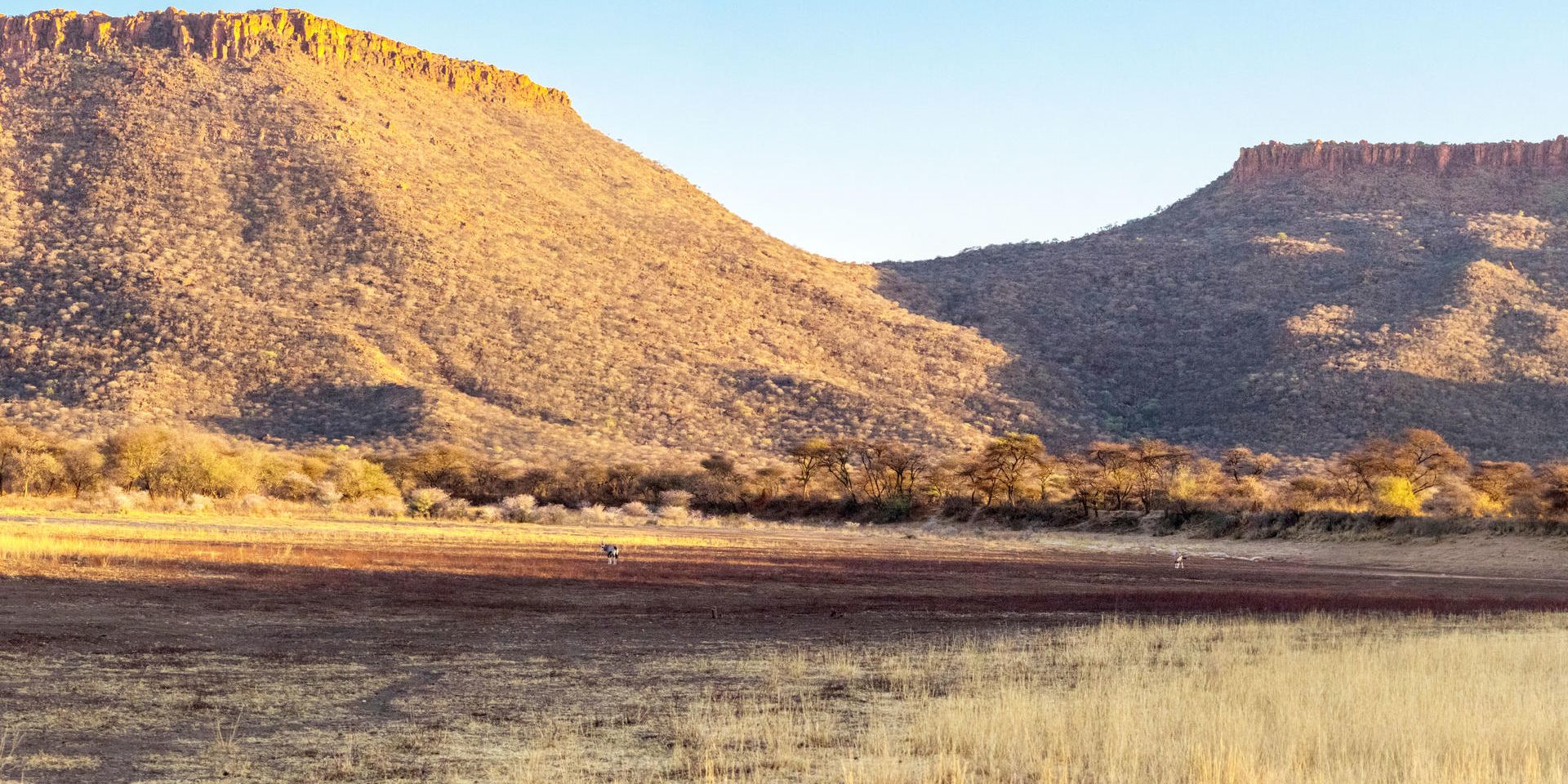 natucate-safari-namibia-waterberg-nature-landscape