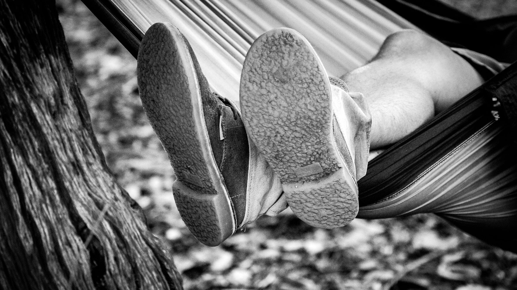 blog-naturwissen-co2-natucate