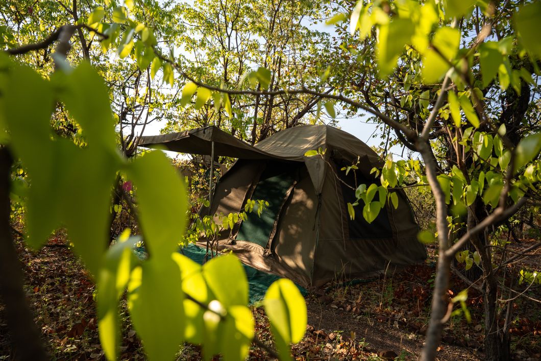 natucate-guide-course-south-africa-et-svenja-mashatu-camp-tent