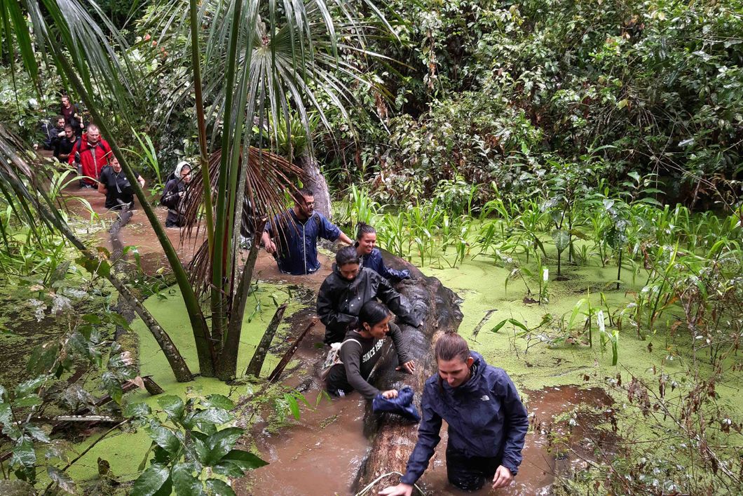 Eine Gruppe aus Freiwilligen, Studenten und Forschern durchqueren einen Sumpf zur Regenzeit. Das braune Wasser steht ihnen bis zur Körpermitte. Sie sind umgeben von grünen Pflanzen des Regenwaldes in Südamerika.