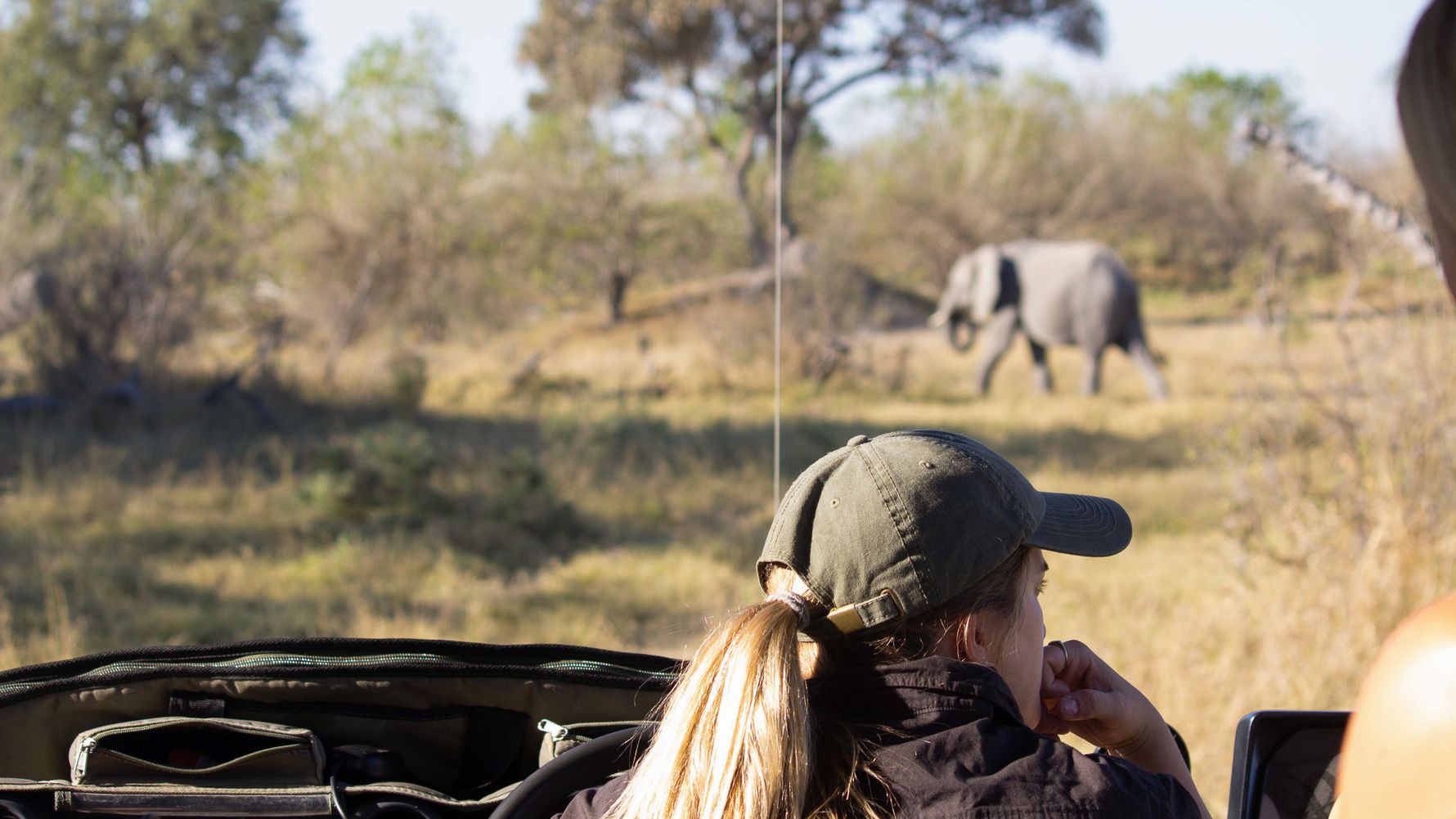 Frau im Auto im Hintergrund Elefant