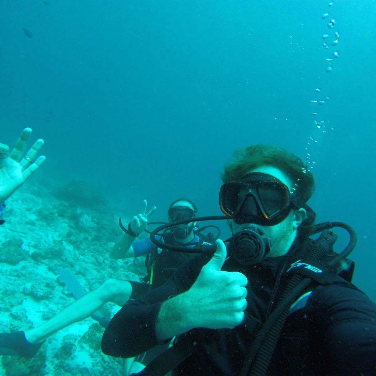 freiwilligenarbeit-malediven-erfahrungsbericht-artenschutz-taucher-natucate