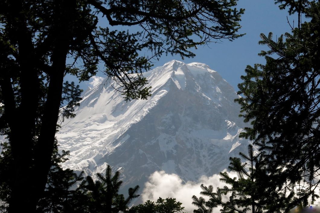 naturreise-nepal-great-himalaya-trail-section-5b-wald-natucate