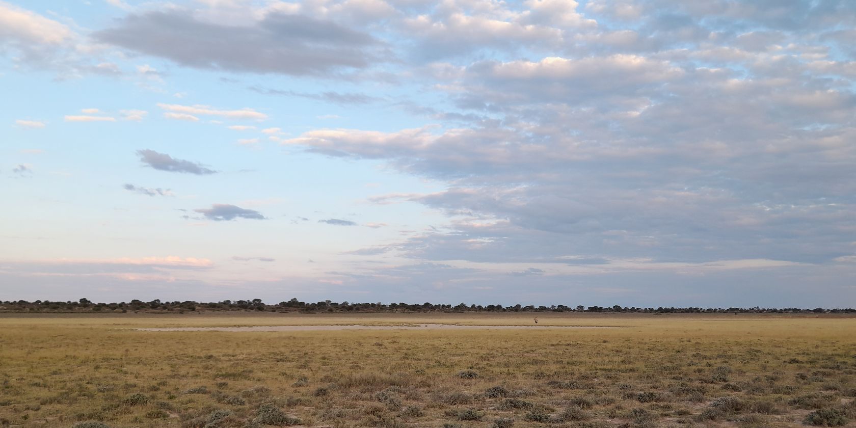 naturreise-suedafrika-kalahari-primitive-trails-landschaft-natucate