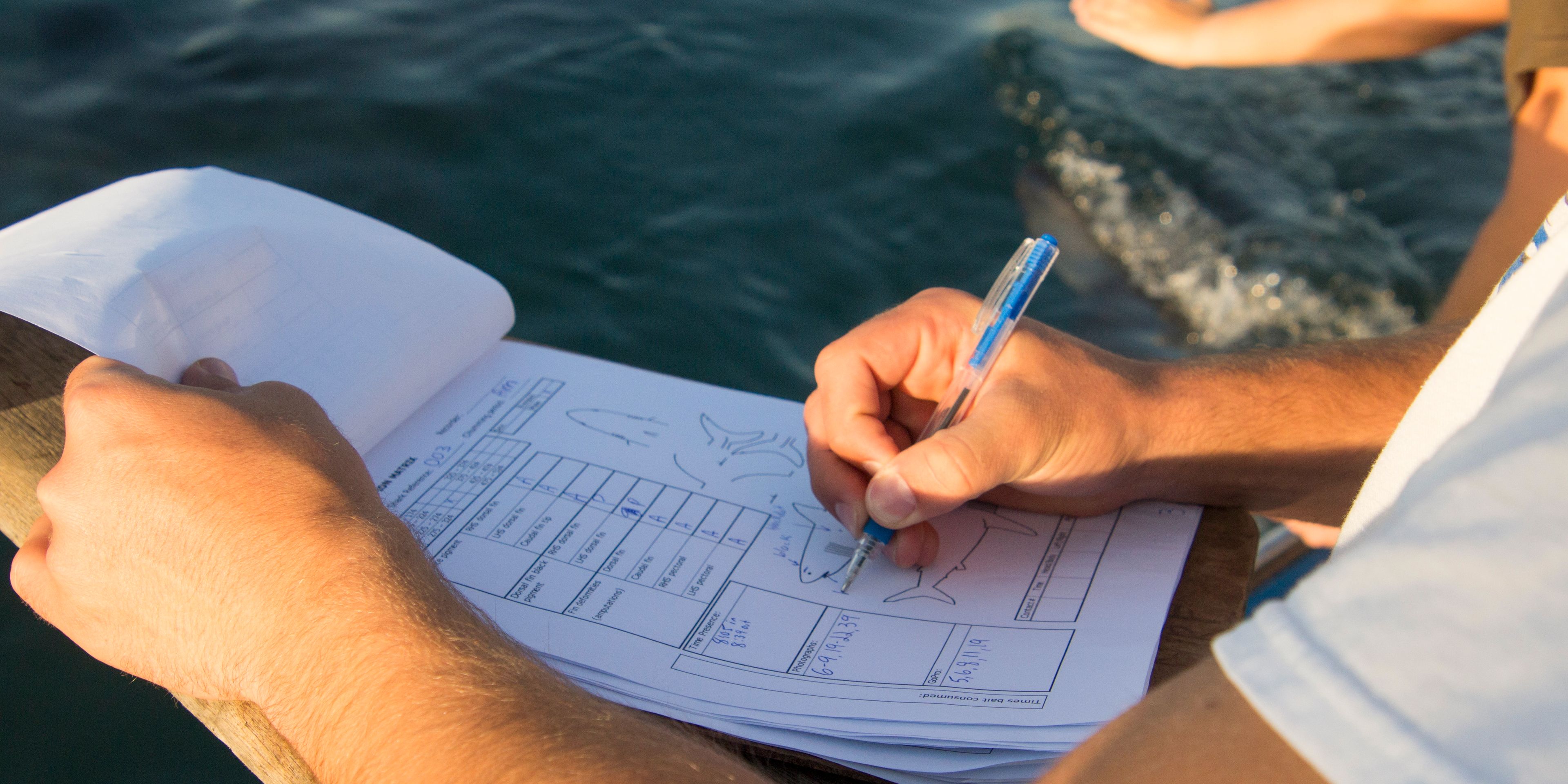 An intern in South Africa is collecting data while on the research boat
