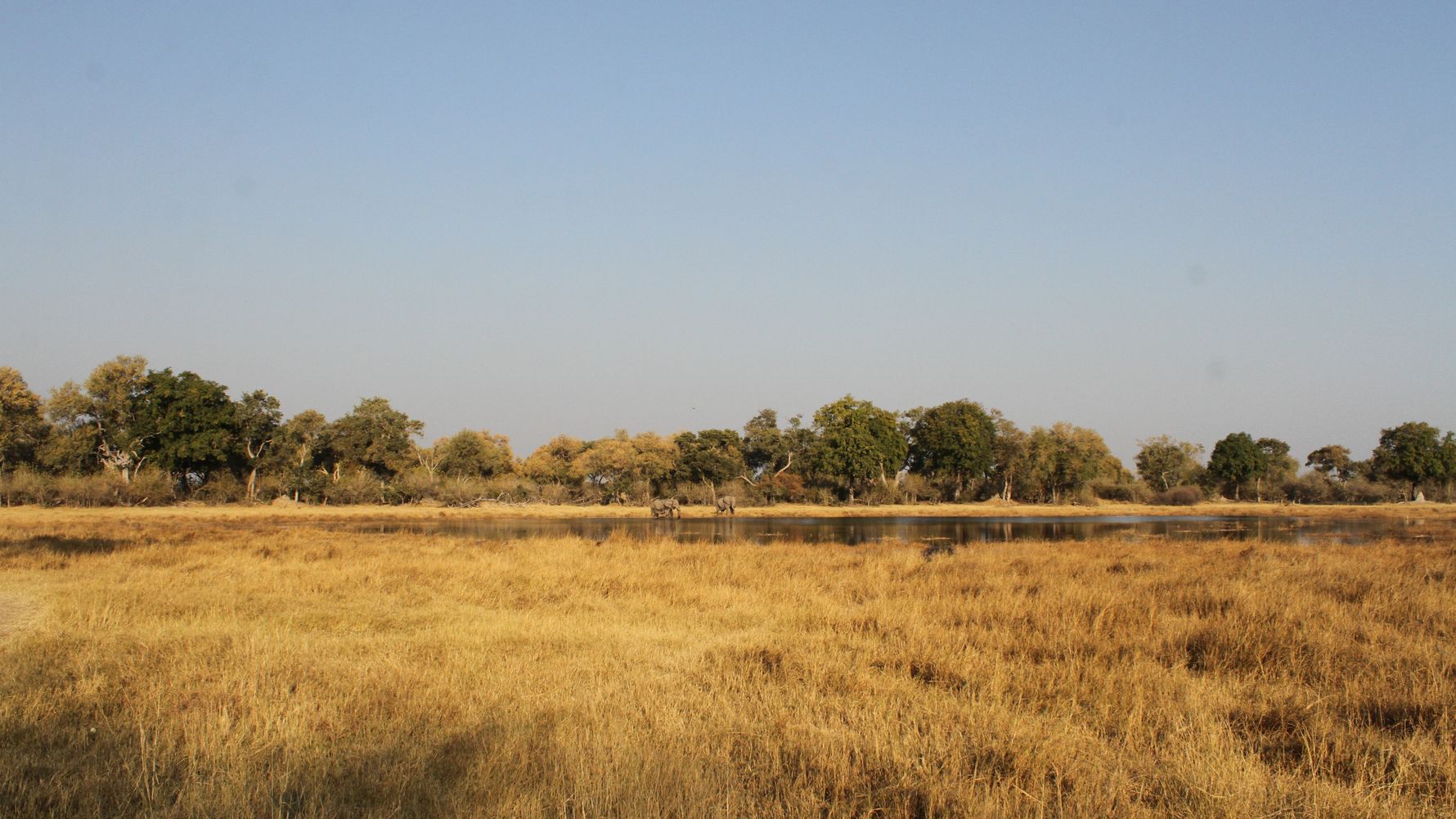 Landschaft Okavango Delta