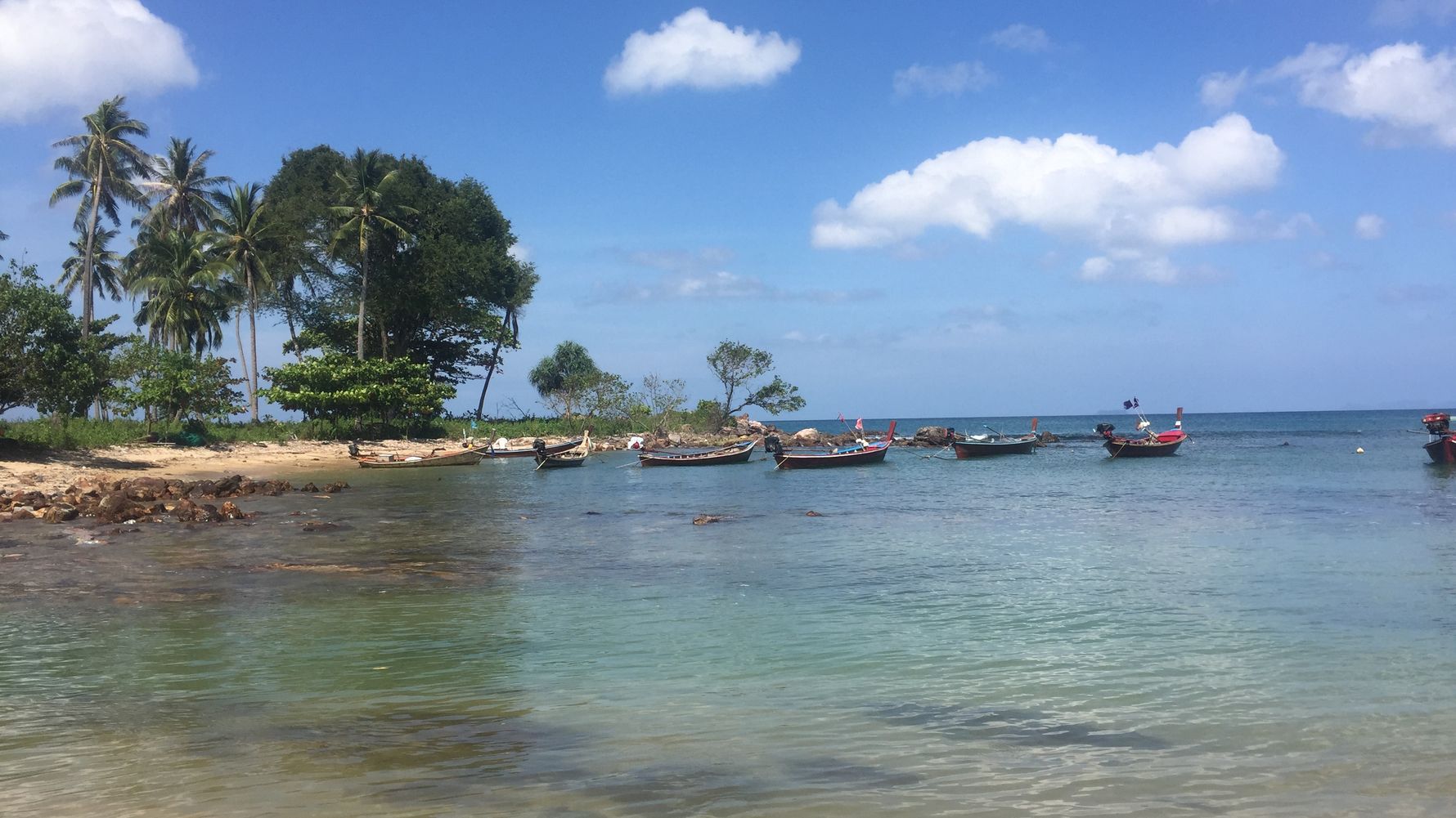 freiwilligenarbeit-thailand-erfahrungsbericht-tierschutz-meer-natucate