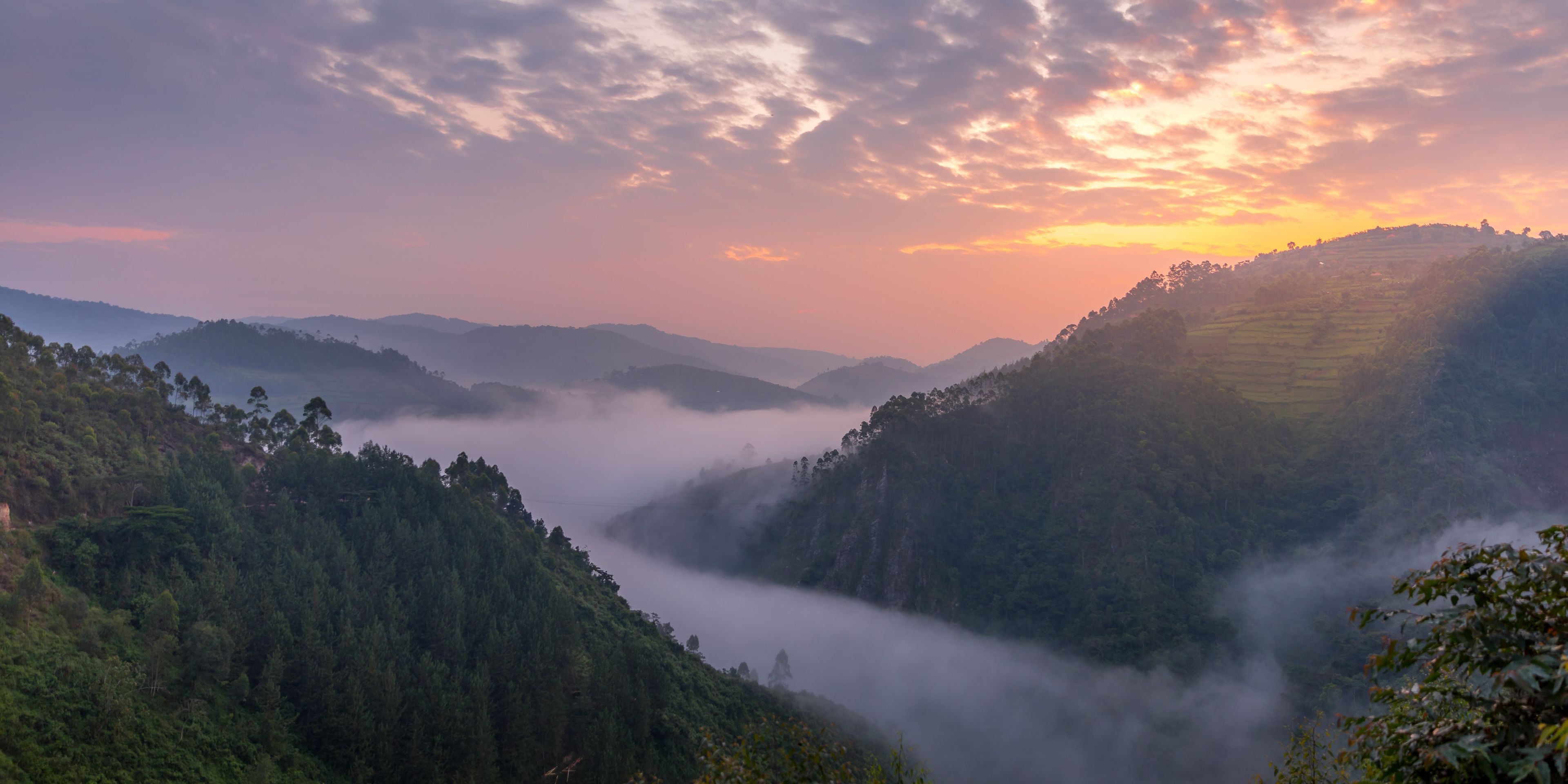 Sonnenaufgang im Nebel