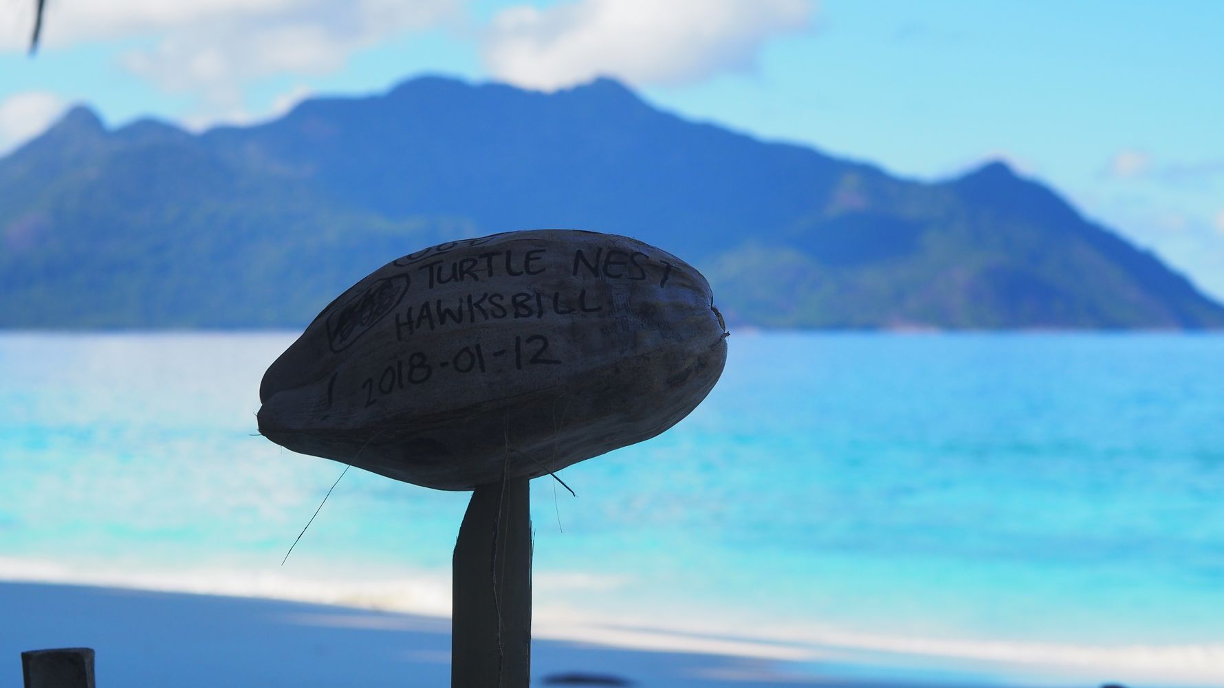 freiwilligenarbeit-seychellen-erfahrungsbericht-artenschutz-natucate