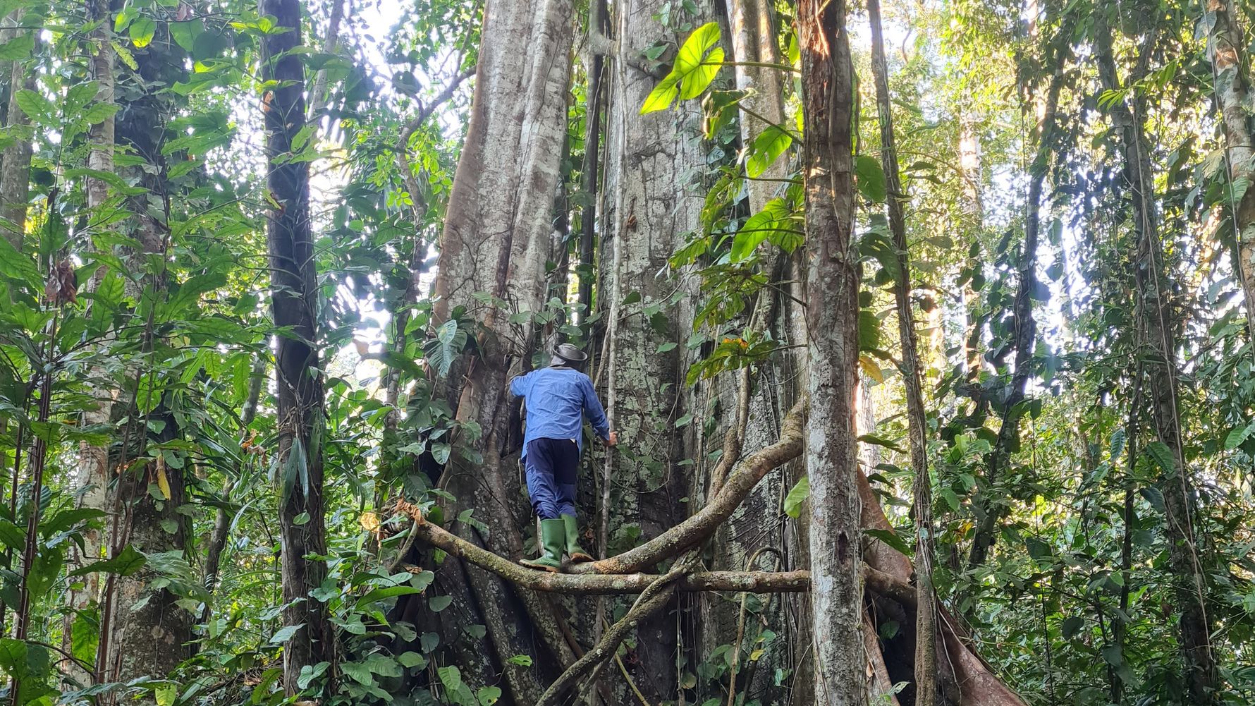 erfahrungsbericht-auslandspraktikum-peru-primatenkommunikation-lydia-regenwald-natucate