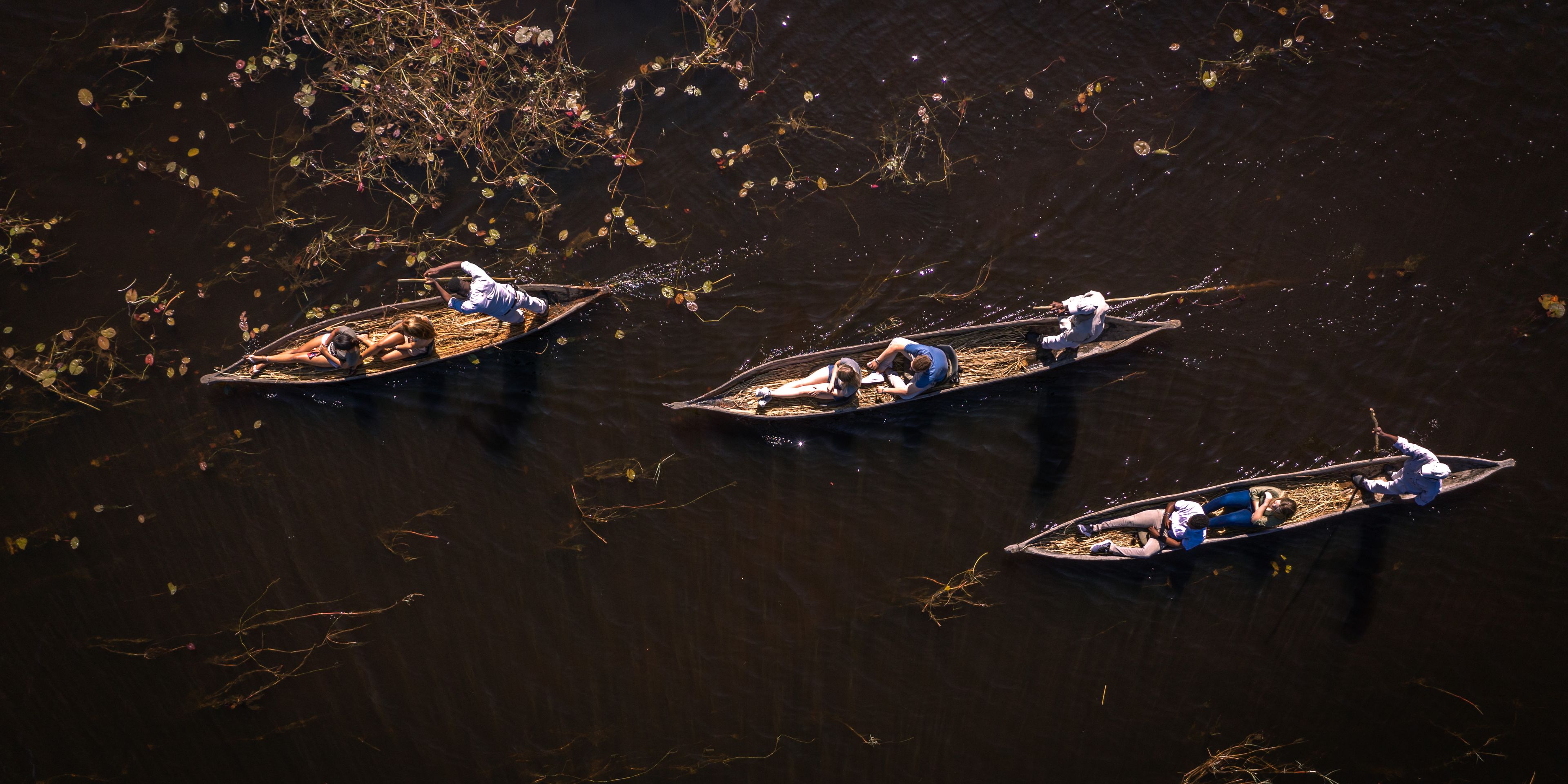 safari-botswana-delta-delights-okavango-mokoro-tour-birdview