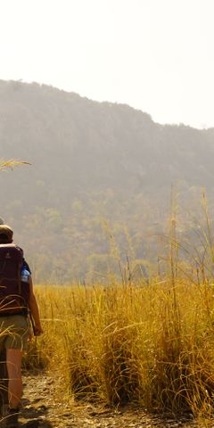 Der Natur- und Rangerkurs macht eine Pirschwanderung durch den botswanischen Busch
