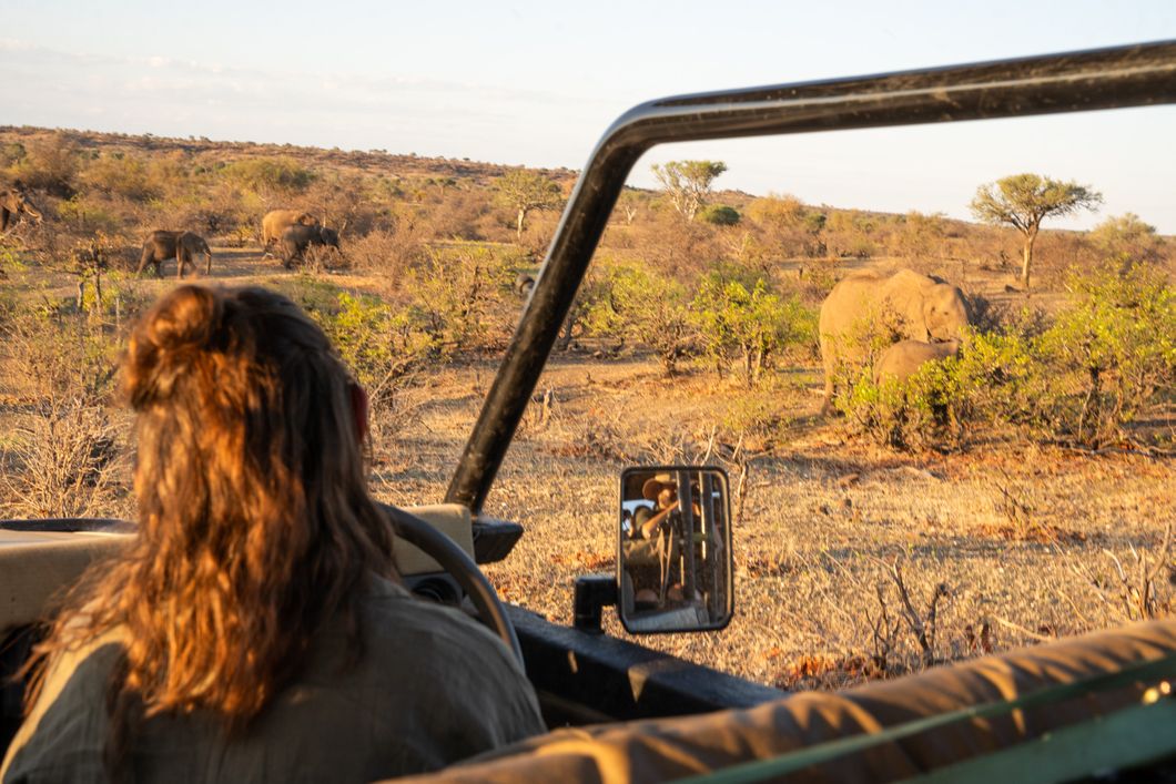 natucate-guide-course-south-africa-et-svenja-game-drive-student-female