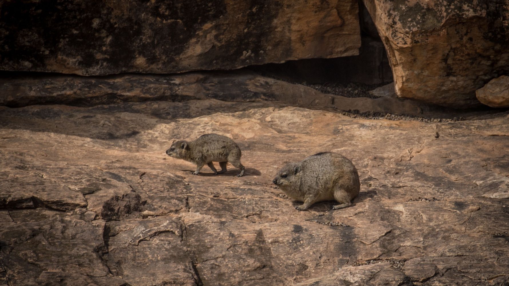 erfahrungsberichte-naturreise-afrika-private-wilderness-experience-matthias-klippschliefer-natucate