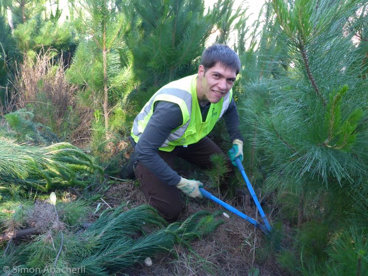 Ein freiwilliger Helfer bei der Arbeit	Zum Erhalt des Naturschutzes entfernt ein Freiwilliger mehrere kleine Baueme