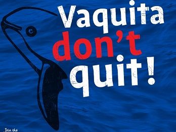 blog-wissen-vaquita-dont-quit-natucate-poster
