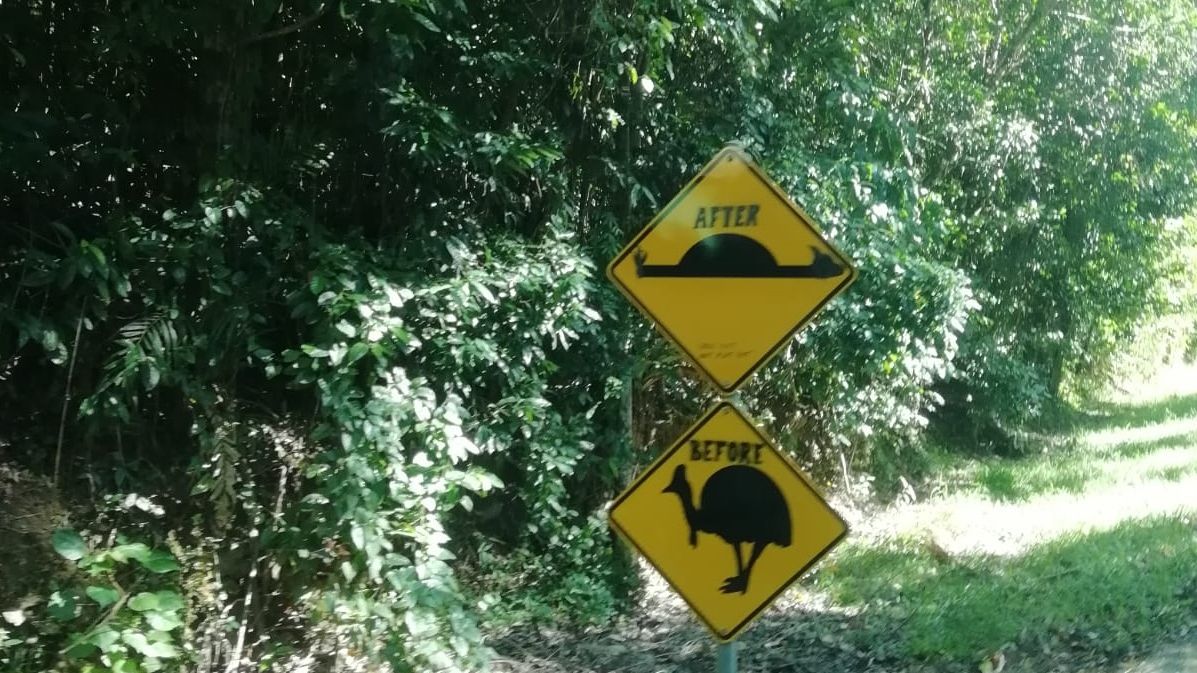 freiwilligenarbeit-ozeanien-erfahrungsbericht-naturschutz-unterwegs-natucate