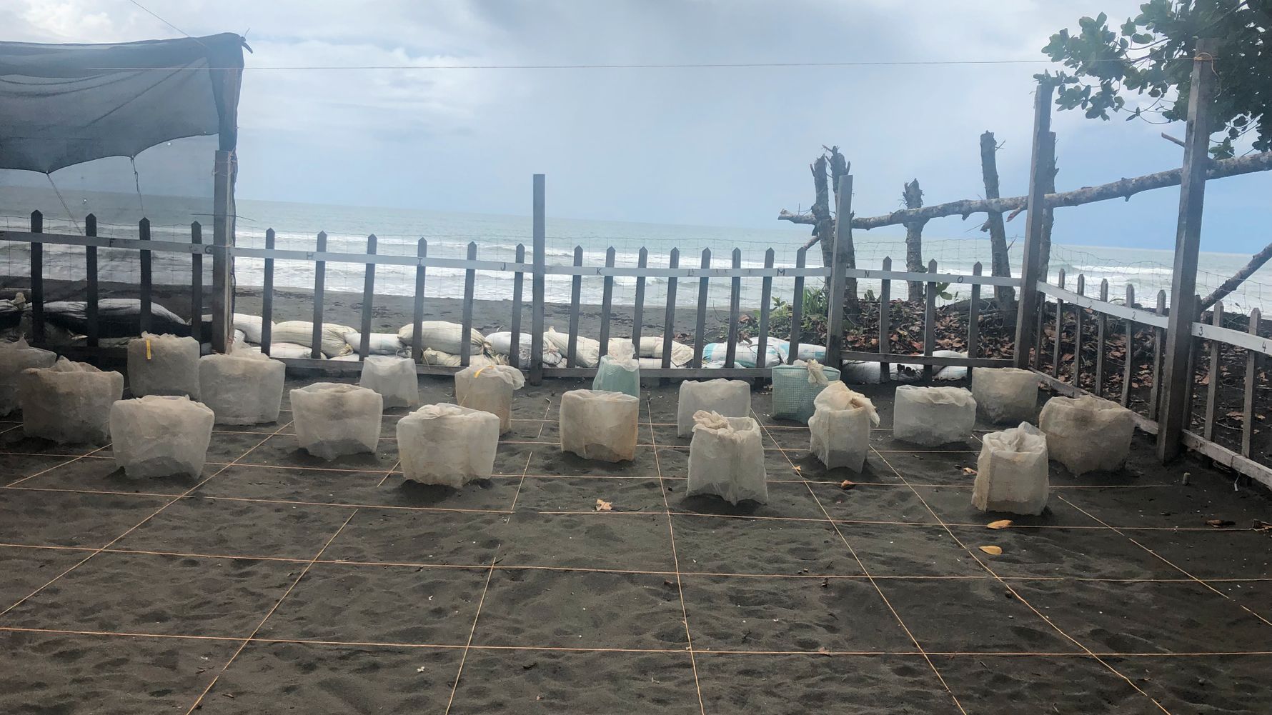 Die Hatchery (Brutstation), welche sich auf dem Strand befindet, wird tagsüber von den Freiwilligen bewacht.