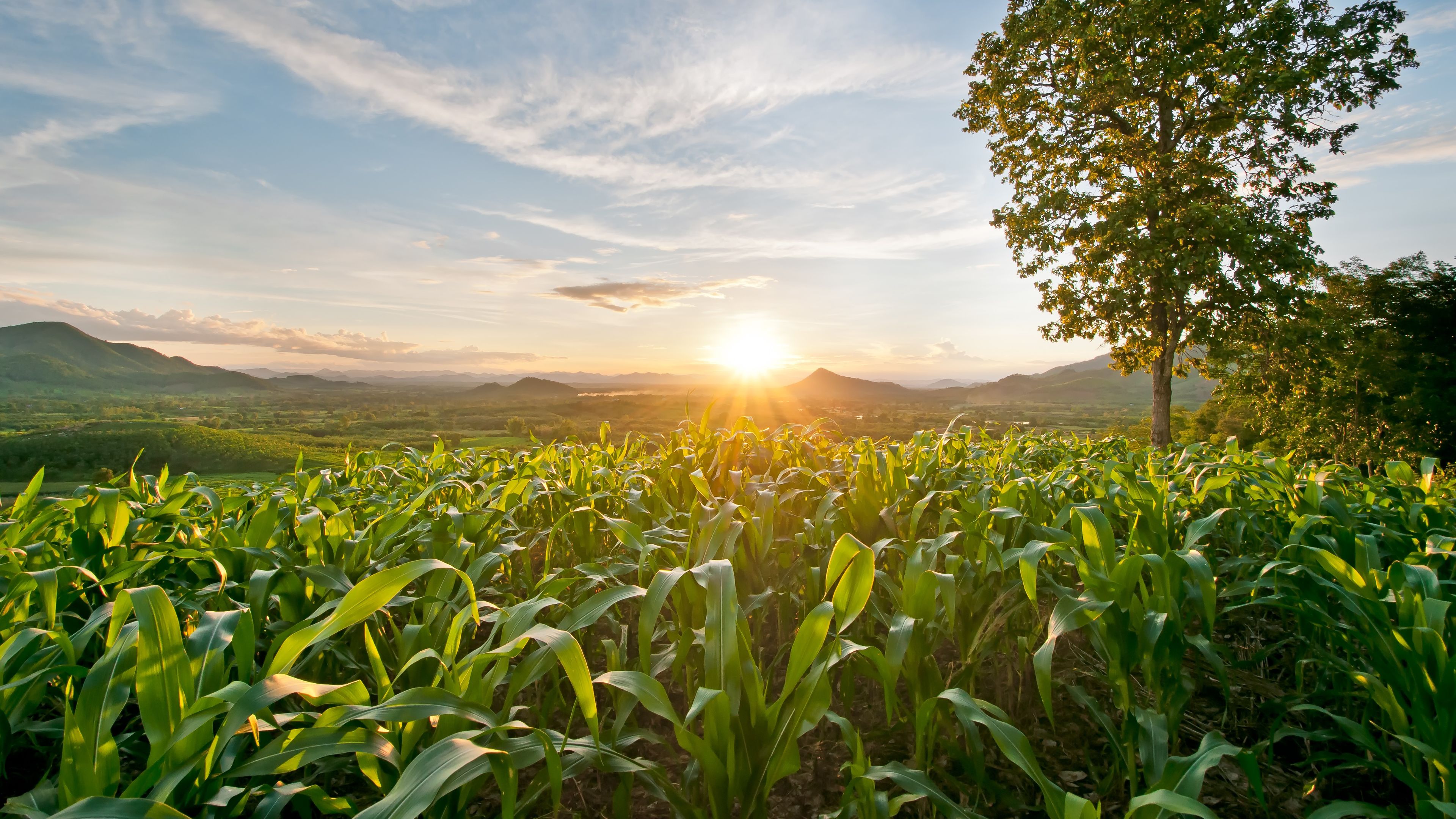 auslandspraktikum-usa-nordamerika-oekologische-landwirtschaft-sonnenuntergang-natucate