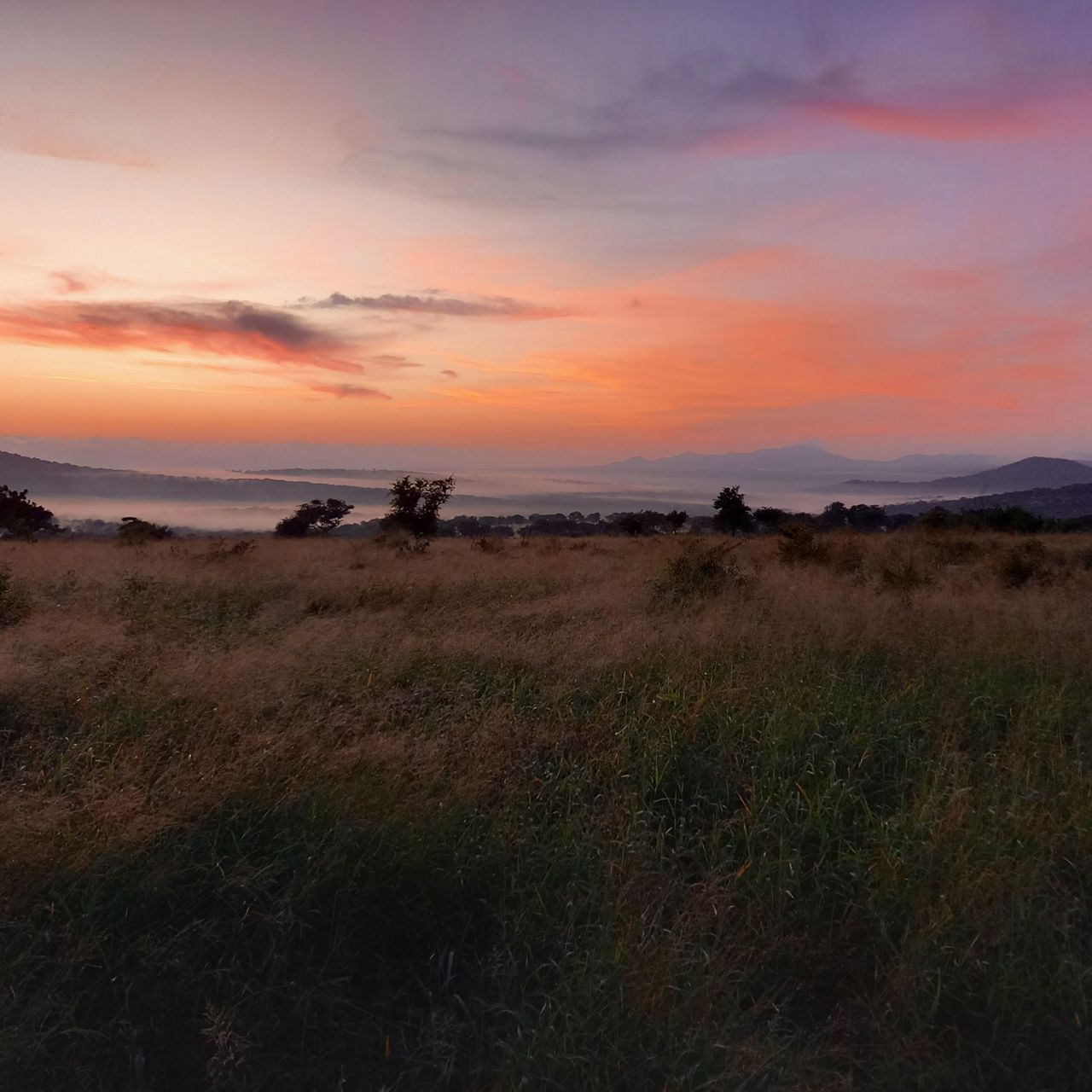 freiwilligenarbeit-natucate-suedafrika