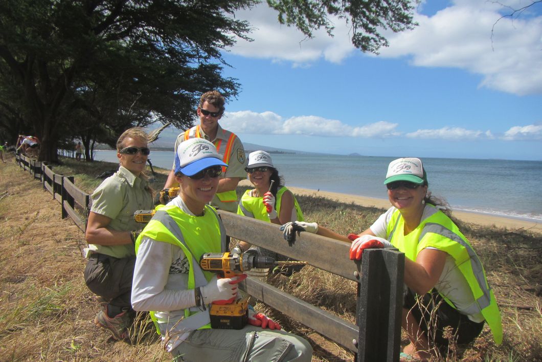 Volunteering in the USA: Conservation volunteers at work in Hawaii