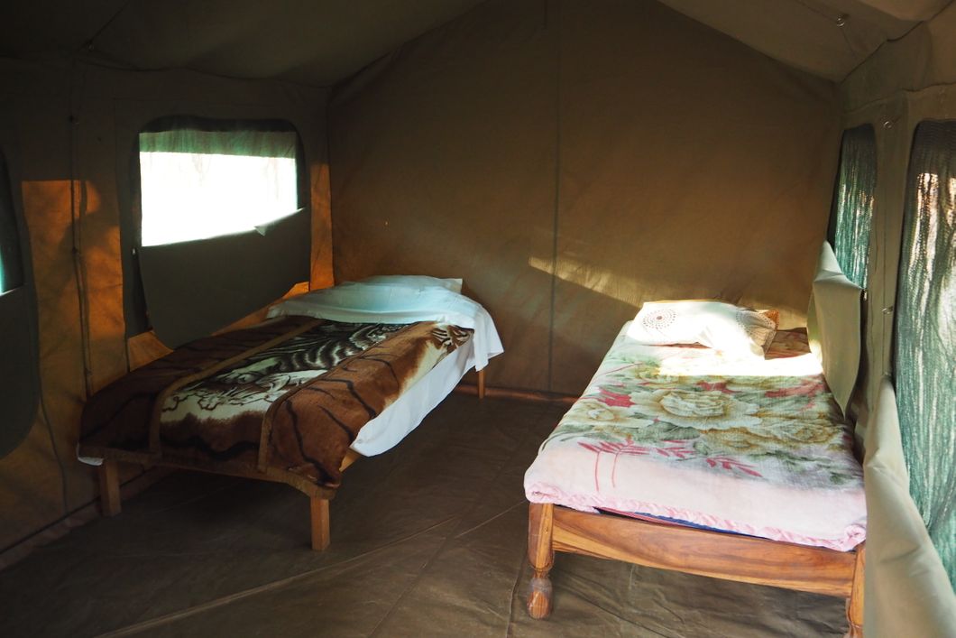 Inside of volunteer tents in the elephant project near Lusaka