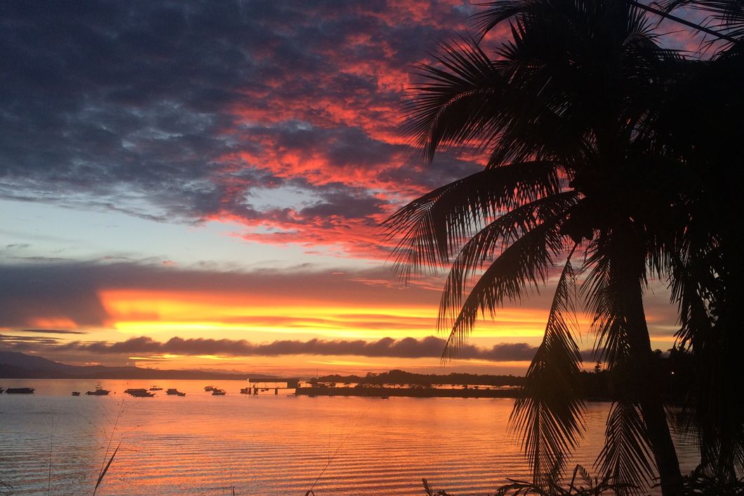 natucate-freiwilligenarbeit-costa-rica-schildkroten-rio-oro-puerto-jiminez