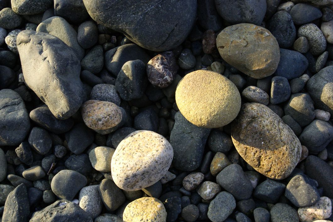 Steine am Strand Floridas dienen der Naturkunde waehrend eines Rangerkurses