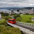 reiseorte-neuseeland-wellington-simon-natucate