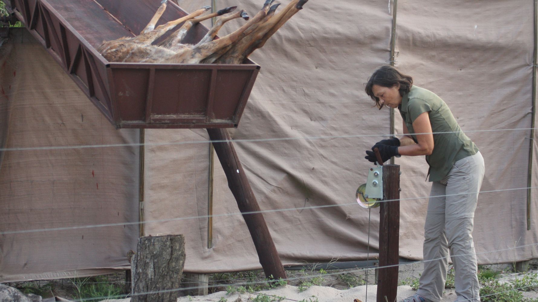 erfahrungsberichte-freiwilligenarbeit-suedafrika-zululand-marianne-fuetterung-natucate