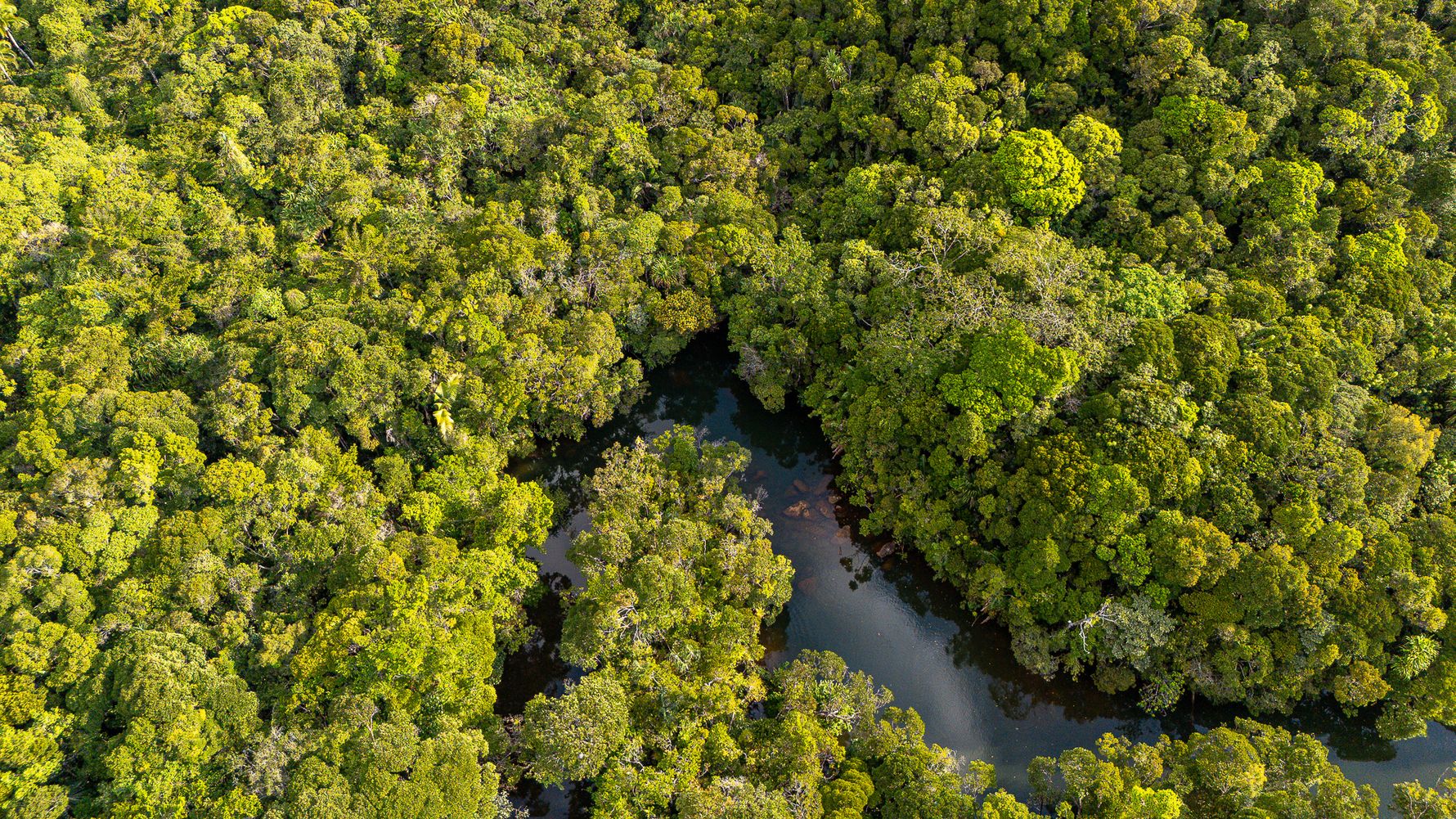 Vogelperspektive auf Fluss in masoala