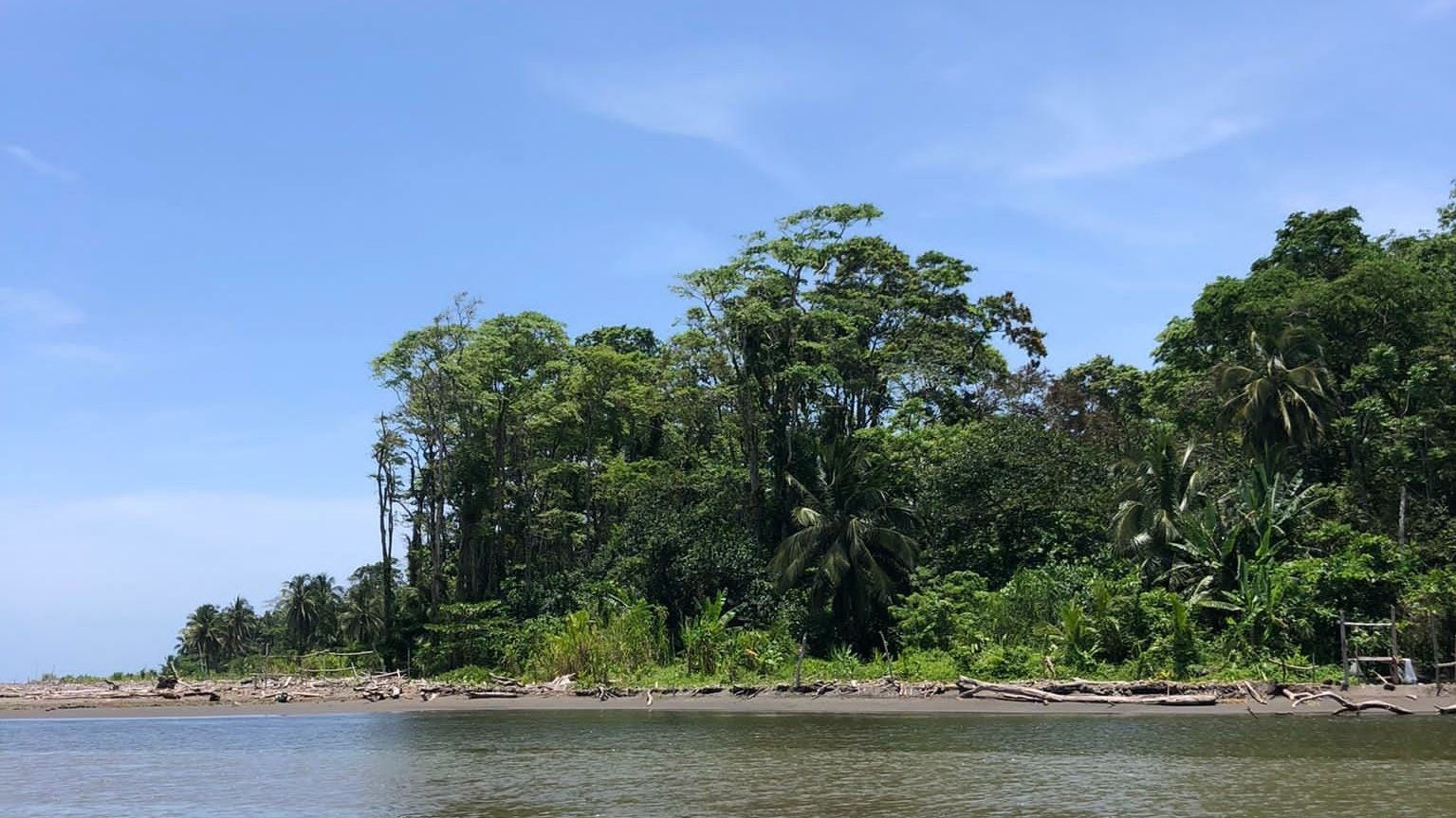 Aussicht über das Meer mit Blick auf die Küste und den Regenwald von Costa Rica