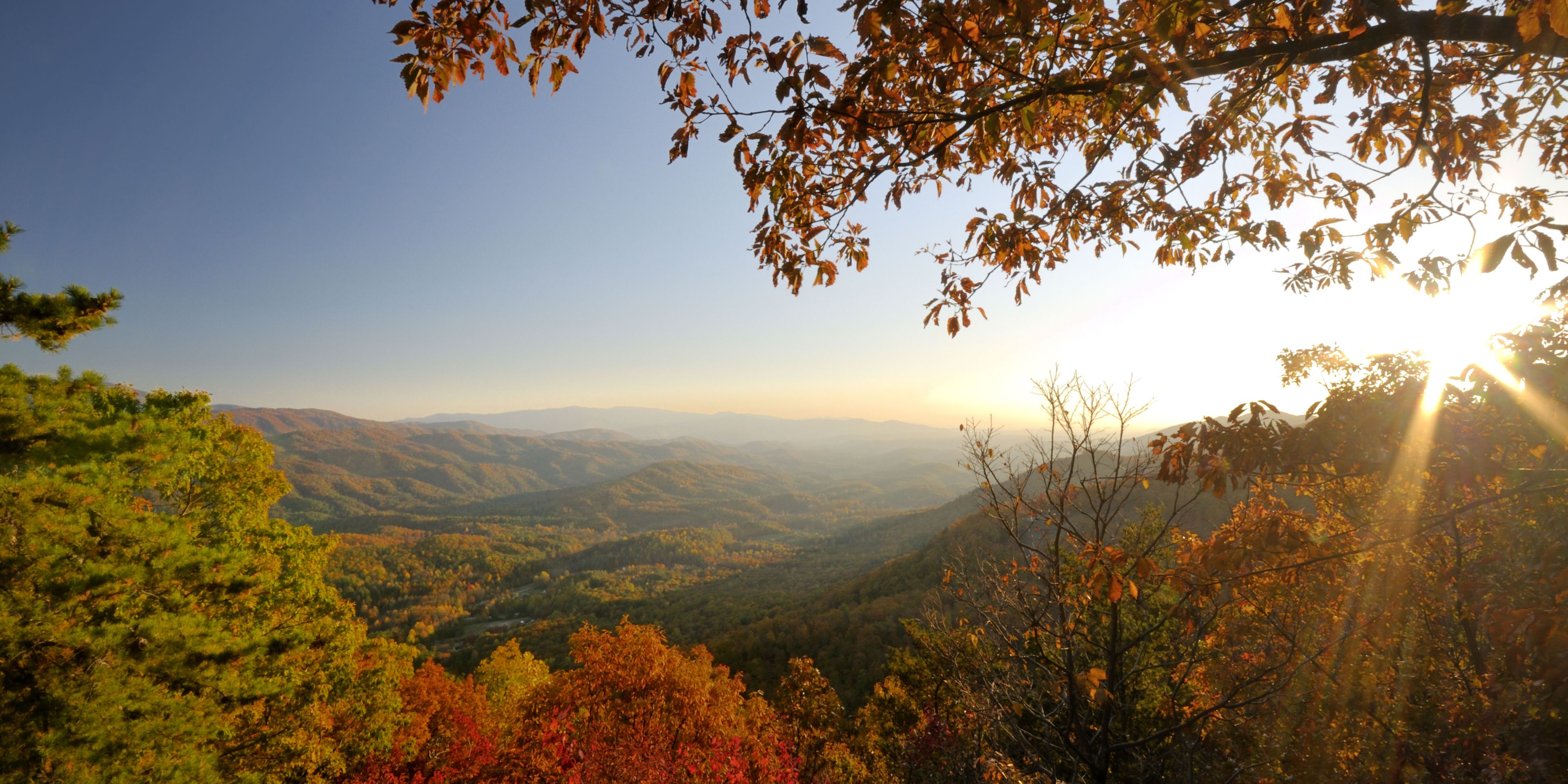 Nature conservation in North Carolina: Looking over a hilly forrest landscape in autumn colours