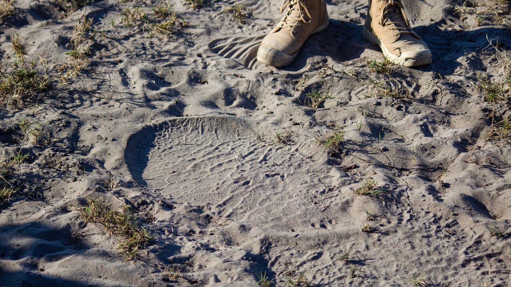 Elefantenspur im Sand