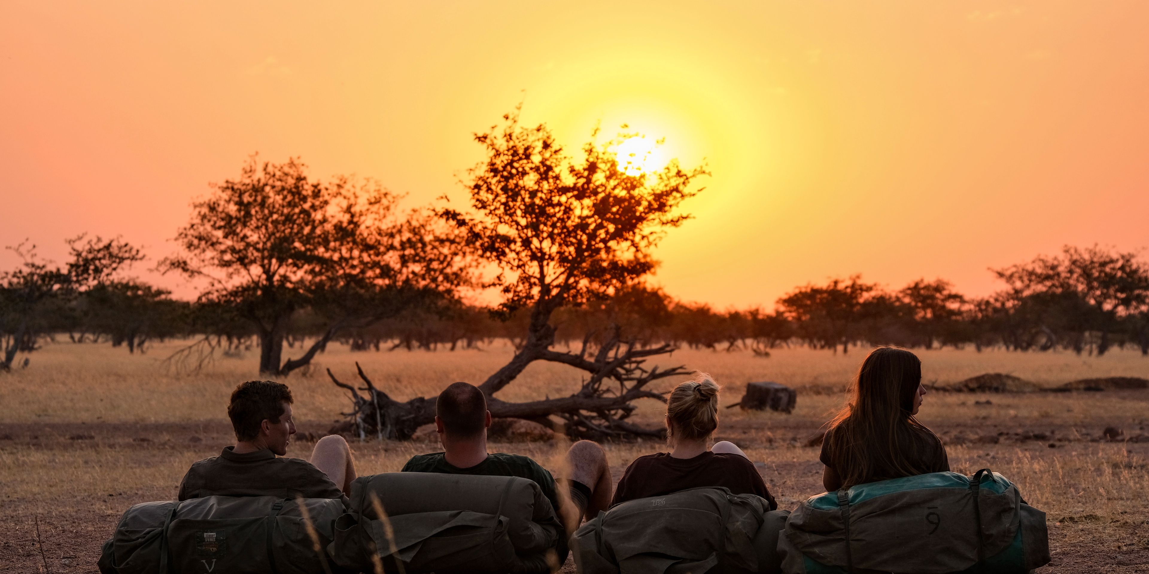 Four people are lying on mats in the bush at sunset