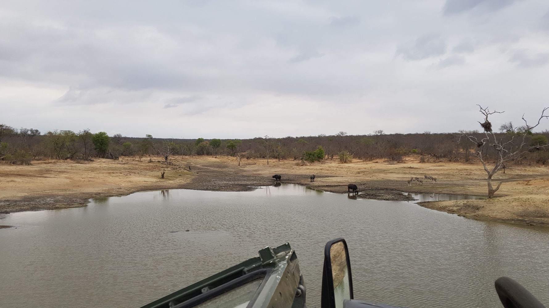 erfahrungsberichte-naturreise-suedafrika-ecoquest-sandra-wasser-natucate