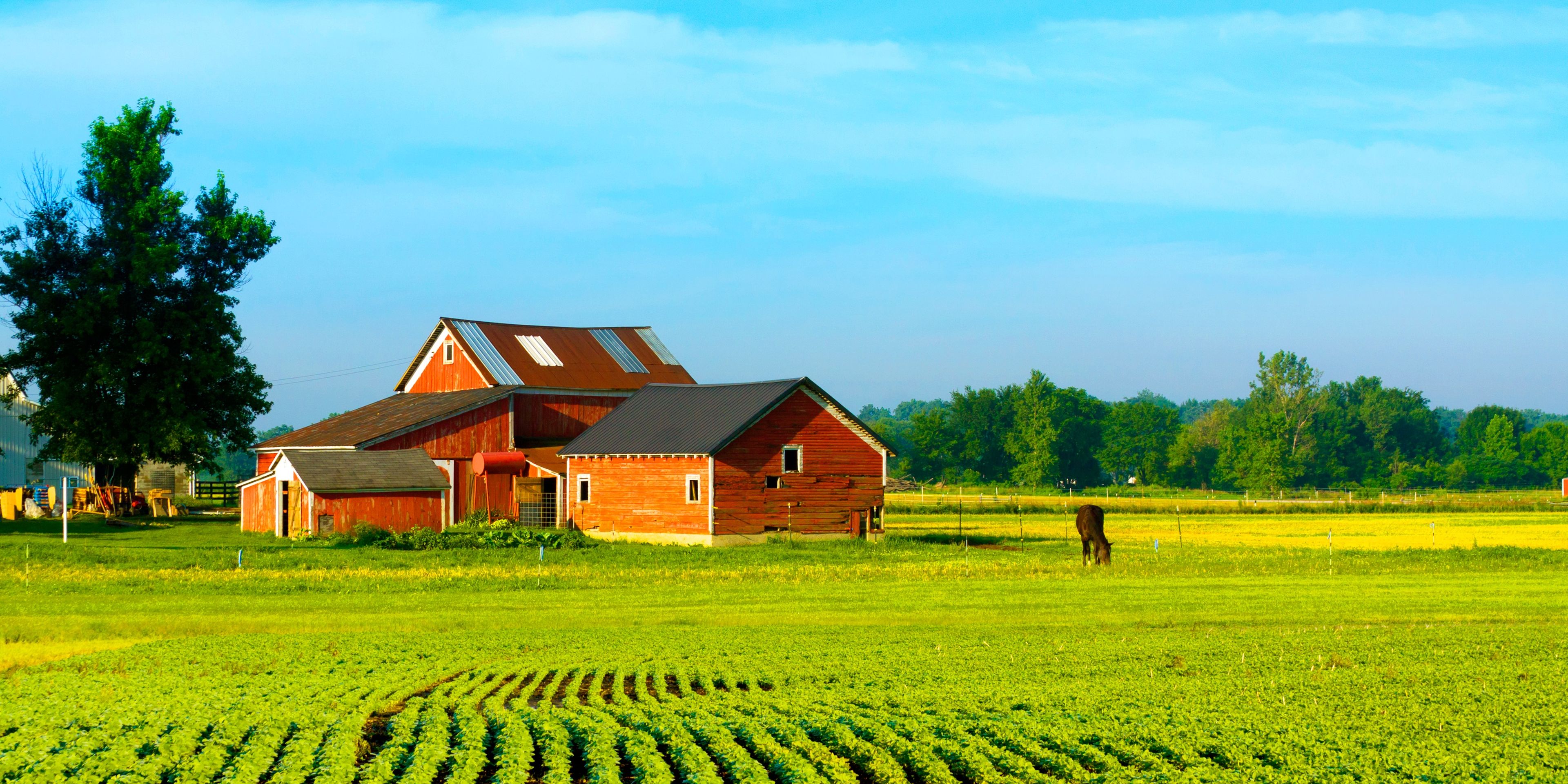 auslandspraktikum-usa-nordamerika-oekologische-landwirtschaft-farm-feld-natucate