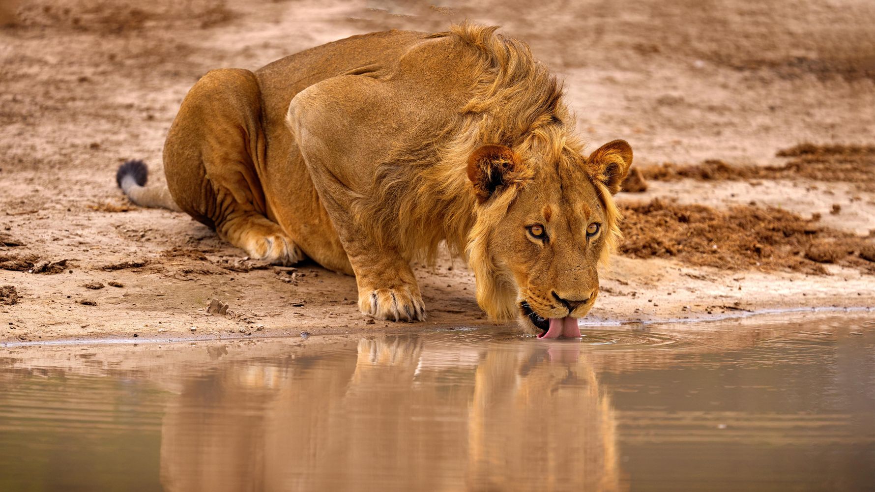 reiseinformationen-suedafrika-mossel-bay-lowin