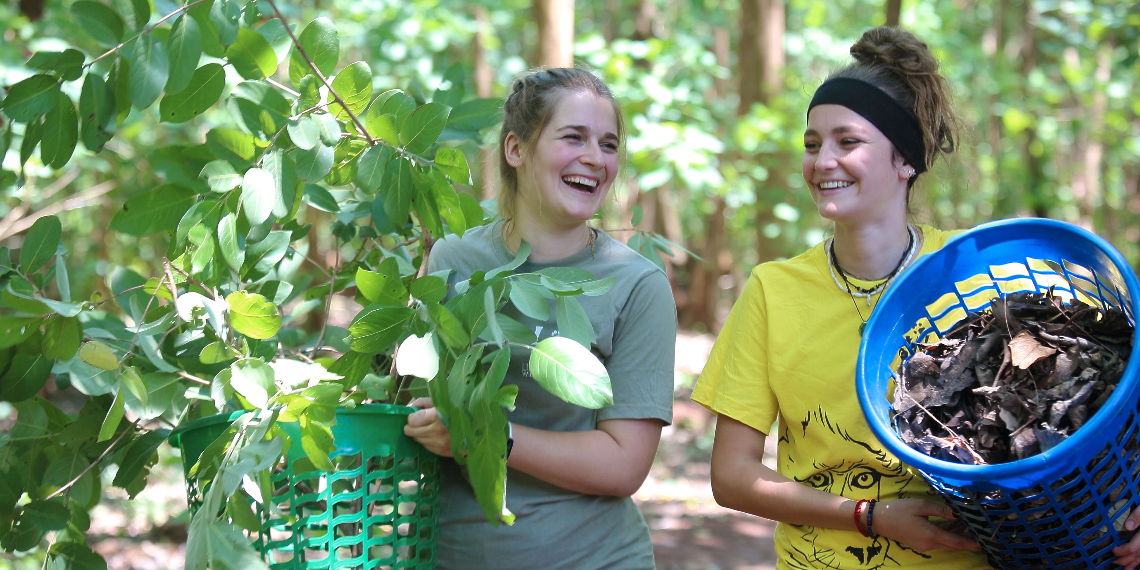 natucate-malawi-lilongwe-volunteer-collecting-vegetation