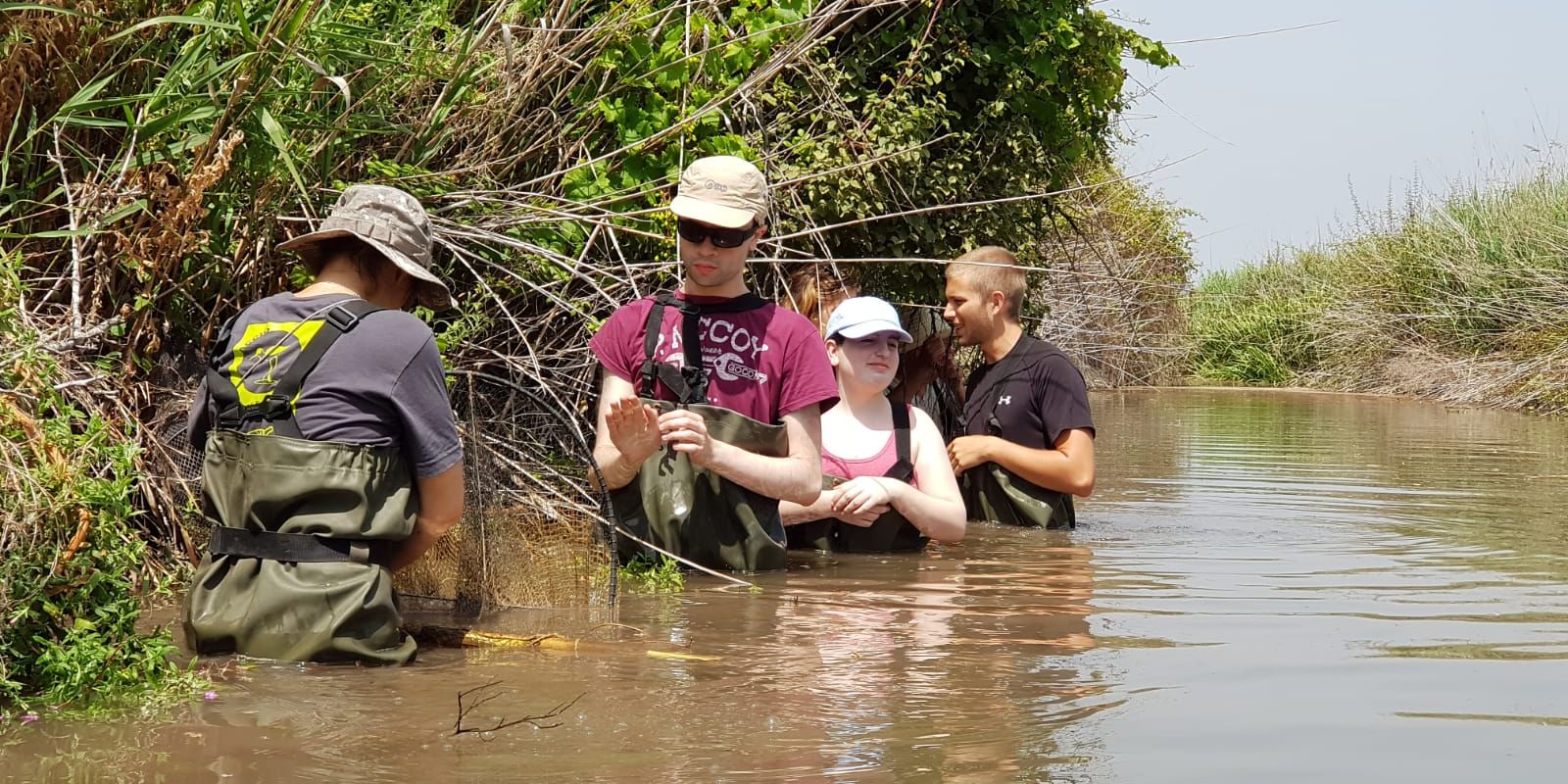 freiwilligenarbeit-spanien-valencia-europa-feuchtbiotop-arbeit-natucate