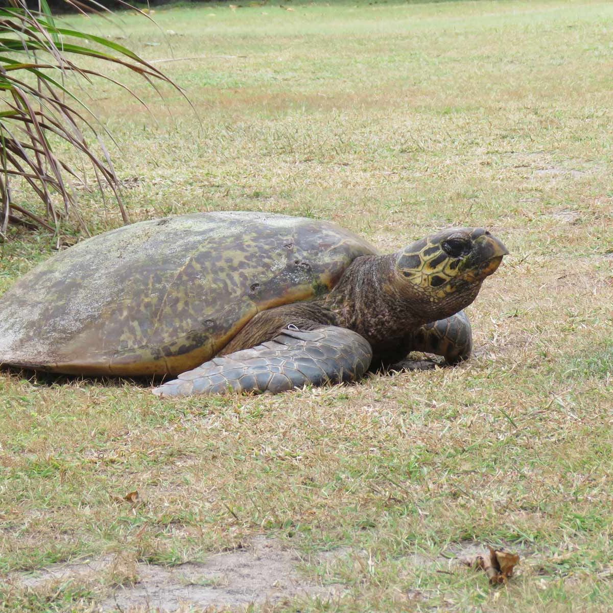 erfahrungsbericht-seychellen-sabbatjahr-strand