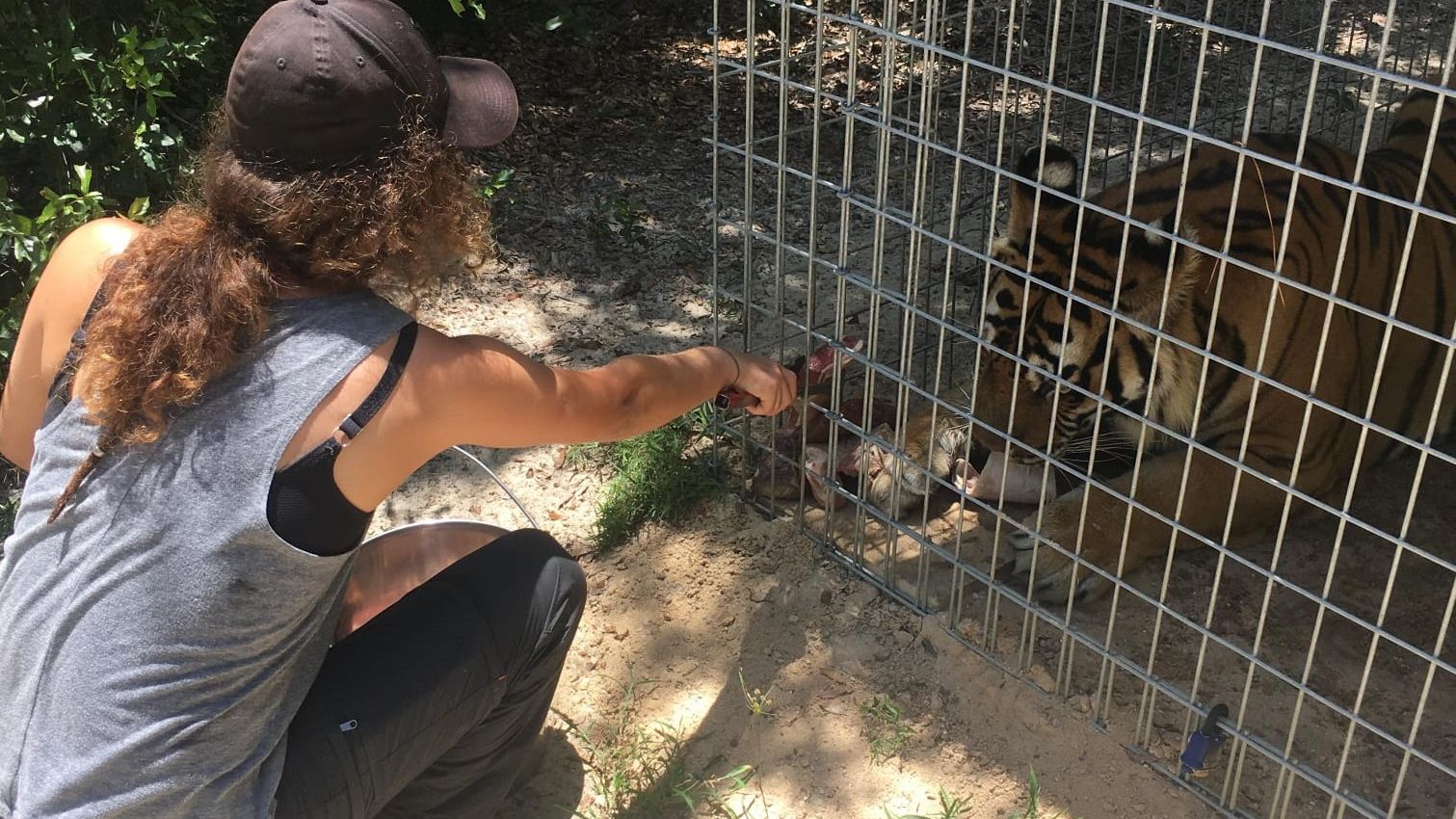 erfahrungsbericht-usa-florida-wildlife-vor-ort-tierschutz-natucate
