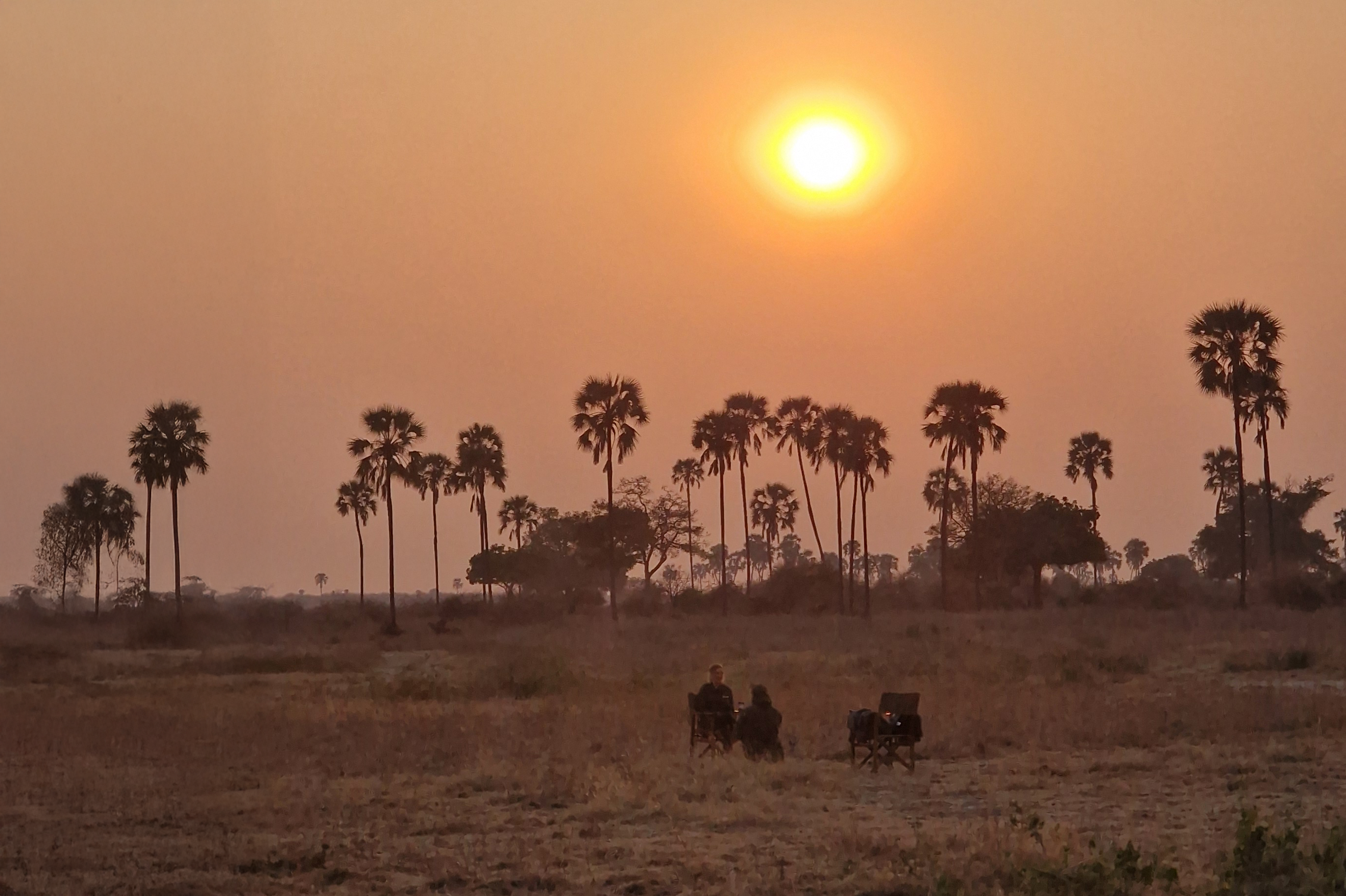 Field Visit Tanzania: Ruaha National Park ⋅ Natucate