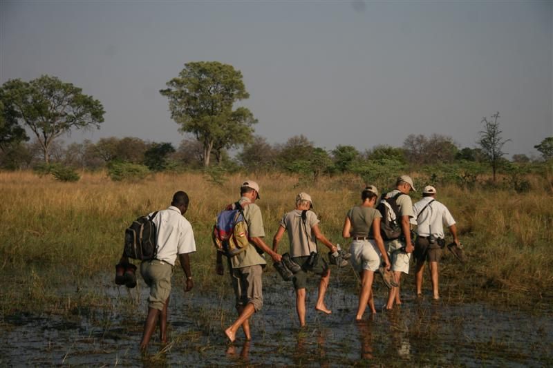 safari-botswana-delta-delights-okavango-walking-safari-water