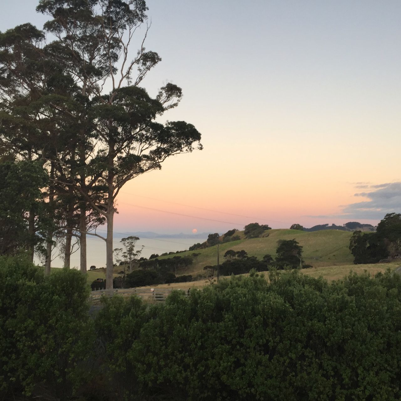 erfahrungsberichte-freiwilligenarbeit-neuseeland-naturschutz-lara-sonnenuntergang-aussicht-natucate