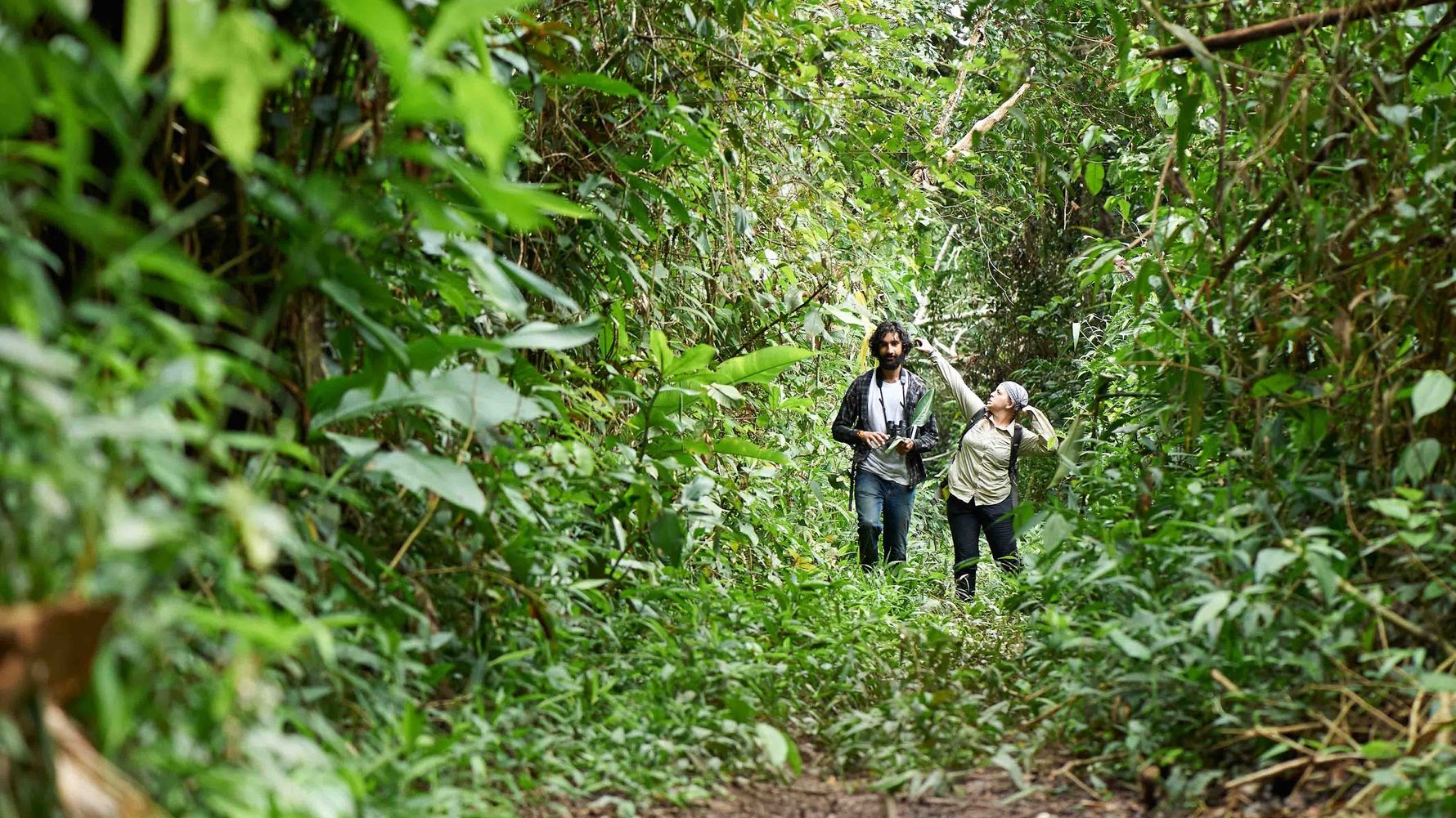 landingpage-auslandspraktikum-artenschutz-praktikum-peru-regenwald-amazonas-natucate