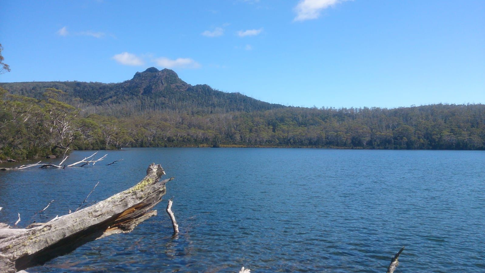 erfahrungsberichte-freiwilligenarbeit-australien-naturschutz-marvin-wasser-berge-natucate