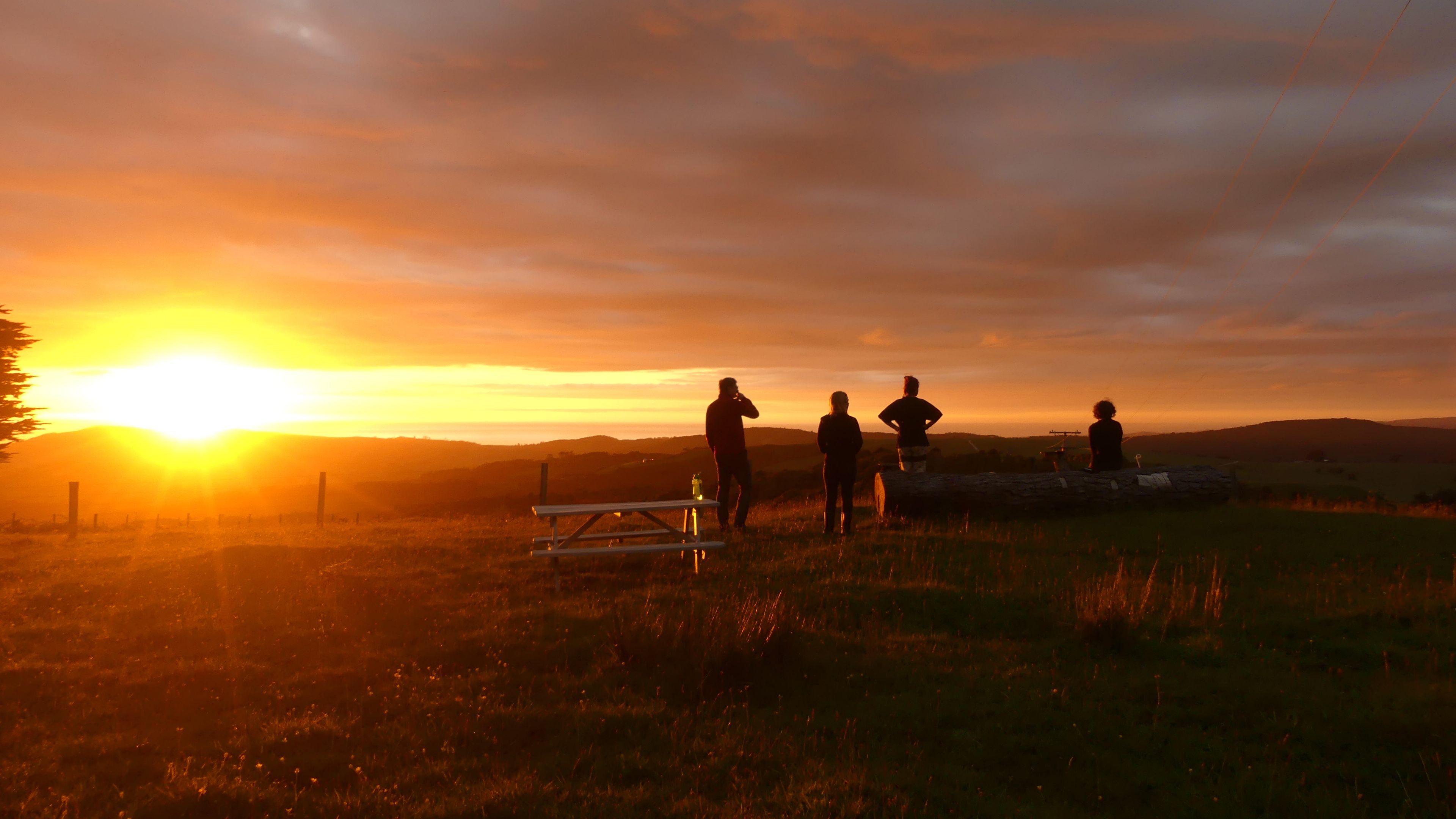 Freiwillige unseres Naturschutzprojekts an Neuseelands Kauri Coast geniessen einen farbenpraechtigen Sonnenuntergang