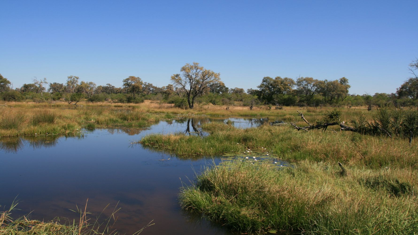 blog-ratgeber-botswana-khwai-konzession-wasser-natucate